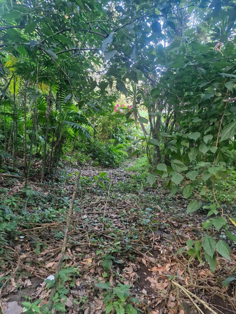 Casa en Venta Baja California